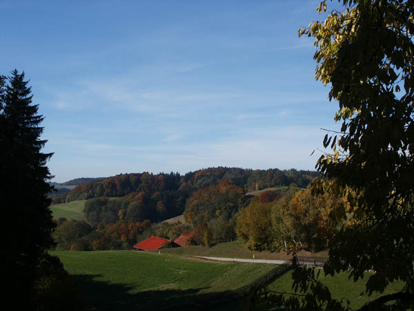 Nchstes Bild